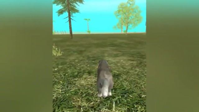 Бесячие типы игроков в Dog Sim.