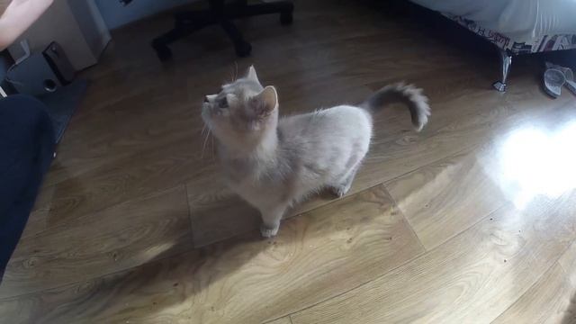 E1fb42d4ea03d30a1c02d3807369edf1