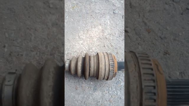Домовая гармония