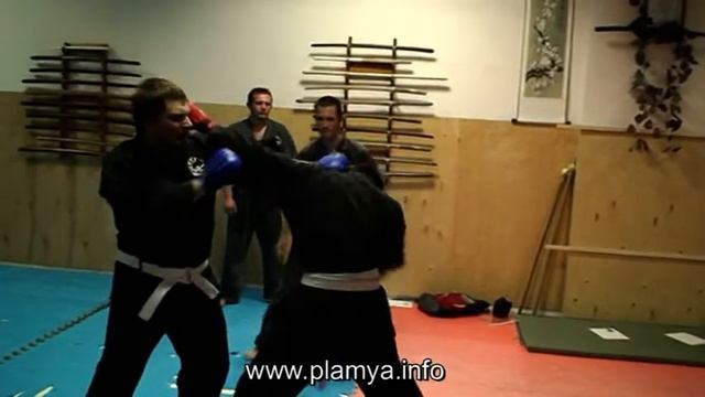 ПЛАМя - рукопашный бой - обмен ударами