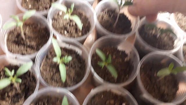 2e597e15b3b951b84841980794af14bc