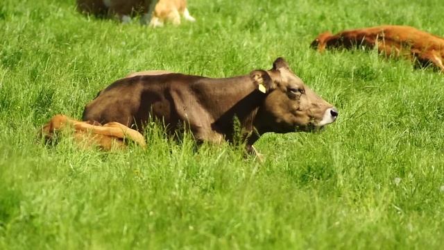 6173d1a8c5c5db0dfe1ff848aab4ed3c