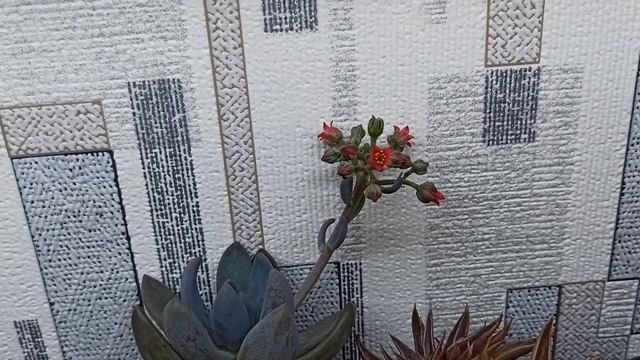 51b8ff1d14164c93e760fd0bc1085401