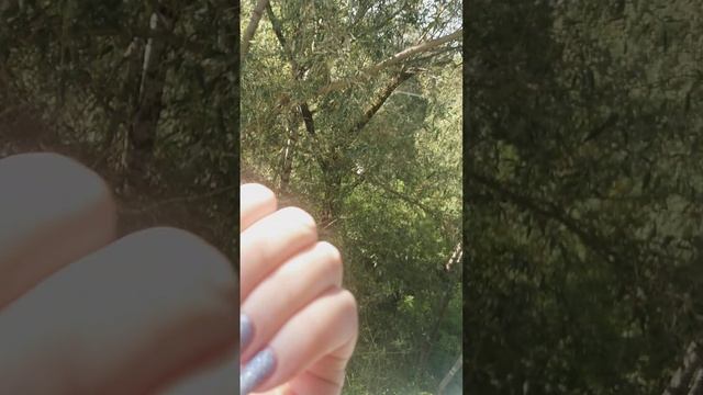 МАНИКЮР ПЕСОЧНЫМ ЛАКОМ #shorts