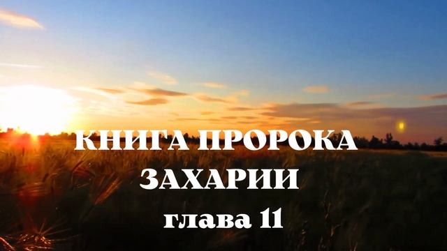 Библия. Ветхий Завет.Книга пророка Захарии. глава 11