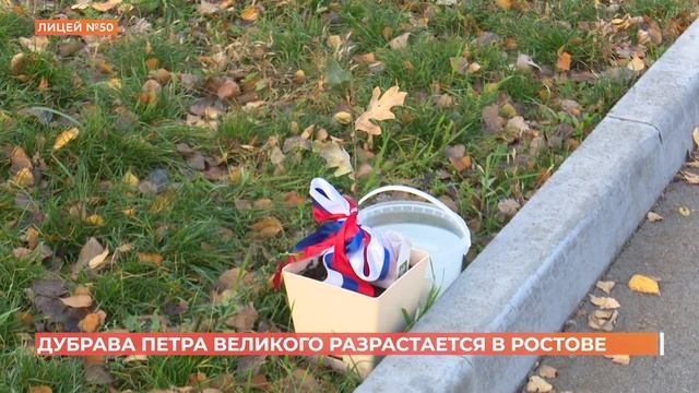 Дуб-потомок знаменитого 