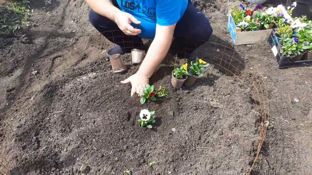 D99df449fc50e813be77517584409a06