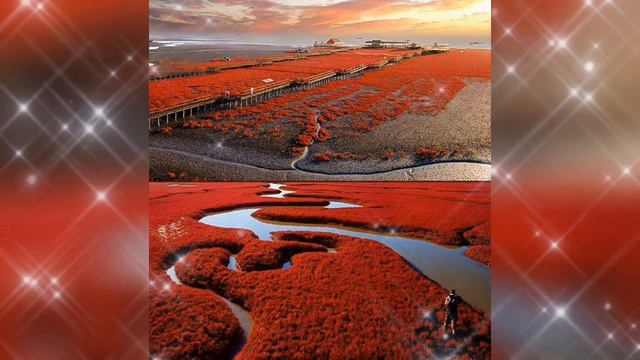 Добрый Вечер