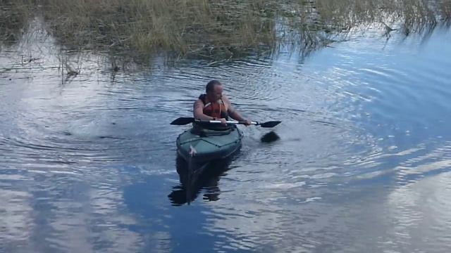 Rolling The Aleut...