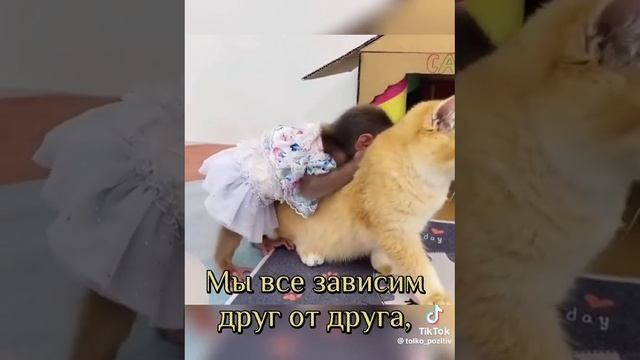 1070fb6eedc1e7a302b7b981f005474e