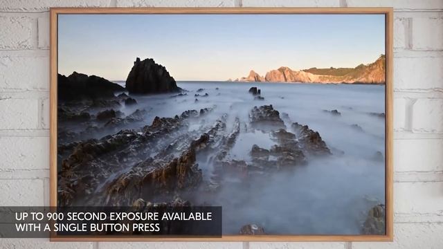 TOP 5 Best Nikon Cameras (2022)