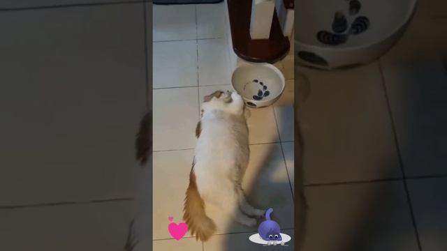 Я с такого бадуна, что нет сил подняться