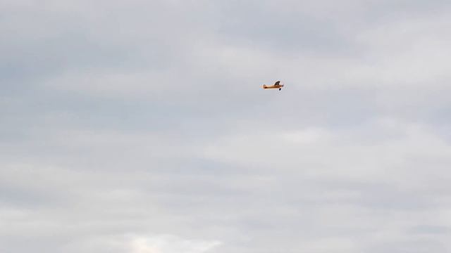 гигантский Piper J3 3000mm 60cc