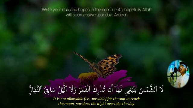 Сура Ясин - ДУА ДЛЯ ИСПОЛНЕНИЯ ЖЕЛАНИЙ 🎧❤🤲СЛУШАЙТЕ КОРАН !! КАЖДЫЙ ДЕНЬ