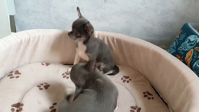 20 сентября 2020 г.