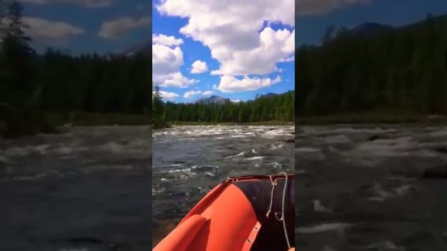 Проходимость лодки Солар 450+ Тохатсу 50 водомёт !