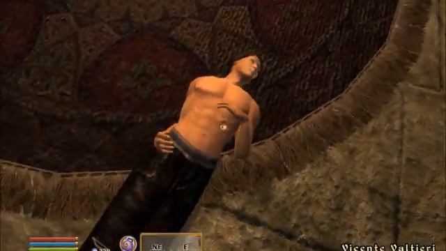 Let's Play The Elder Scrolls IV: Oblivion 108 - Goodbye My Family