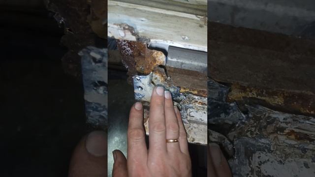 Fiat - стиль и комфорт на всех полях