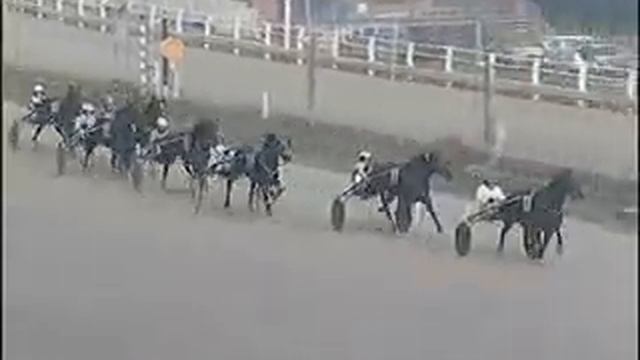 I AM GRIF A Milano 26/01/2008