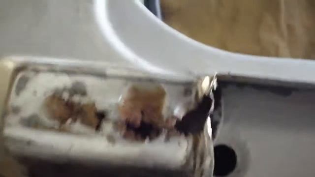 Автомобильная культура