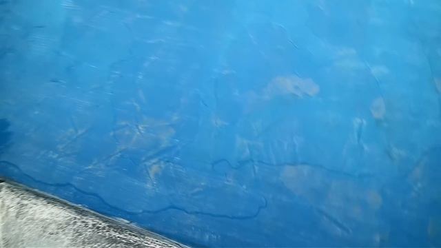 354fee708d122db2602851a44b489548