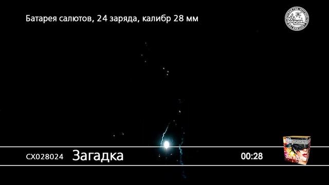 СХ028024 Загадка
