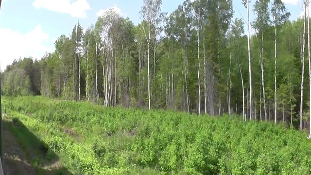 67d64f974c1a9fed72069ad69d618173