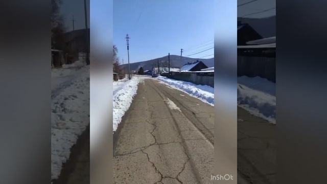 Отлов собак 25.02.2022г.