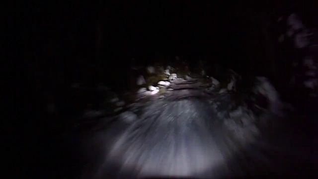 Угар в лесу ночью на снежике SkiDoo MXZ, в поле 140км/ч