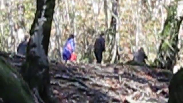 A48be56bd7e49b29176552a871de657b