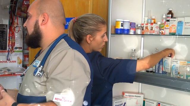 ветеринарная клиника в Харькове