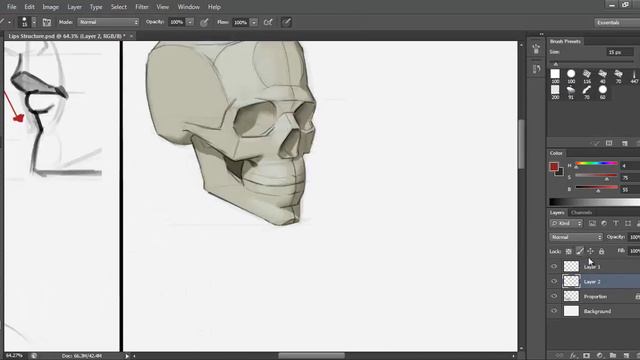 2-Part 1 Lips Structure
