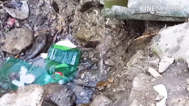 29fe8fc6ec7b00b78045ca9628d68d56