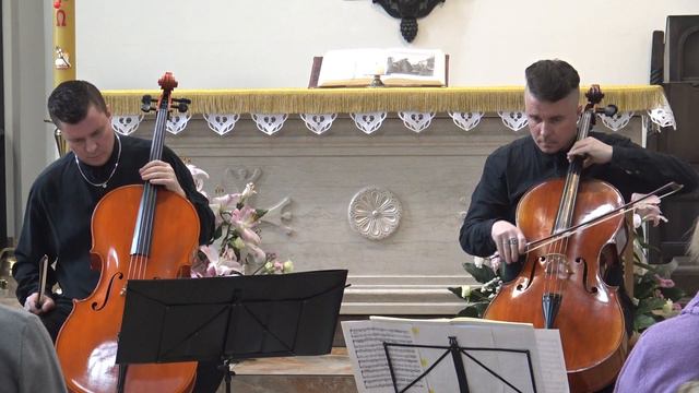 И.С.Бах,Сарабанда из Сюиты ре-минор для Виолончели соло,BACH,cello Solo In D Minor, Sarabanda