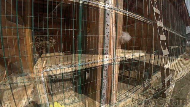 ТРАВКА ДЛЯ РЫСЕЙ