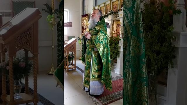 Проповедь в воскресенье, 12 июня 2022г., в день Святой Троицы