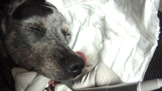 0d53148d0804b2bca8562d8b3e3652a2