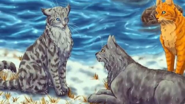 Огнезвёзд и Крутобок. Коты Воители.