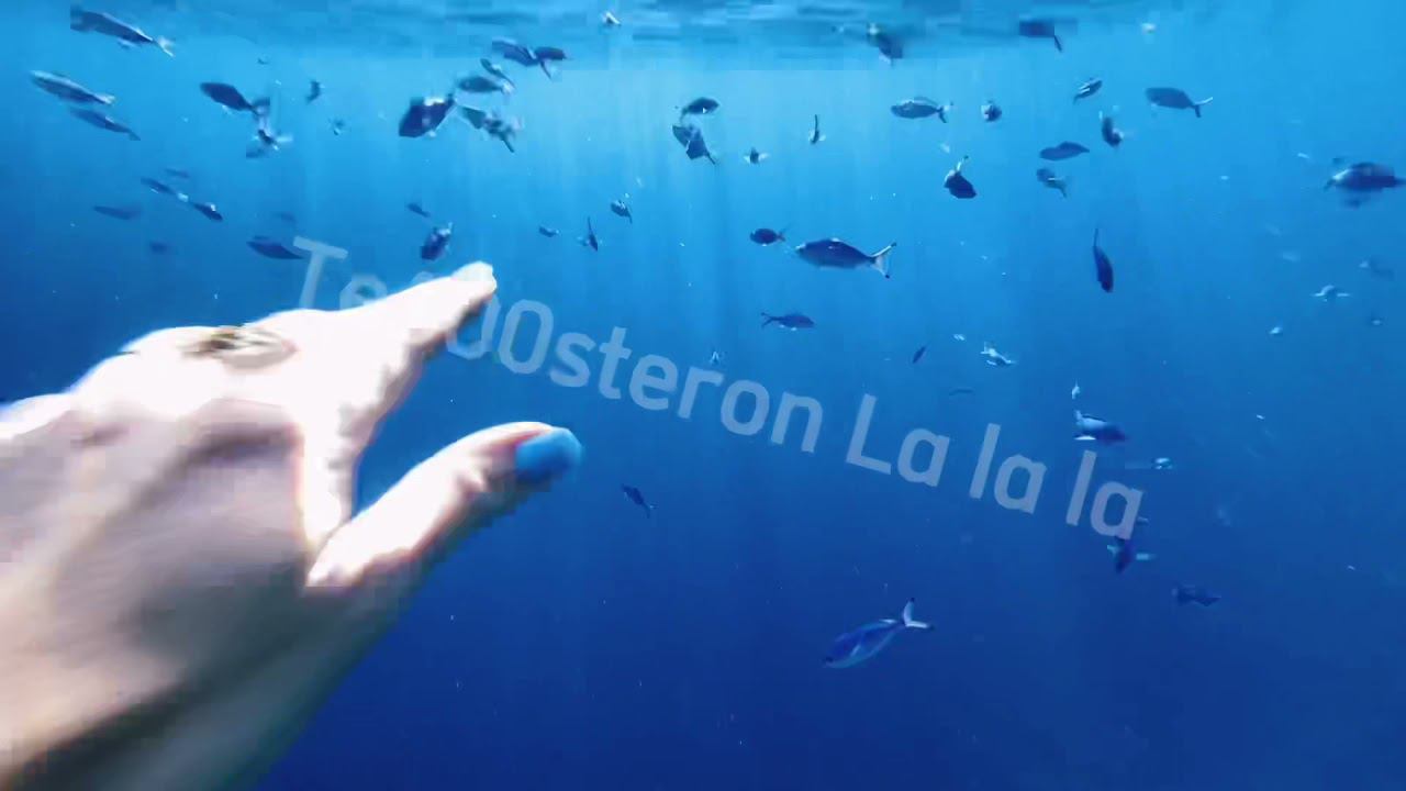 Те100стерон - La La La