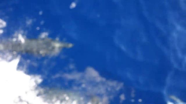 96898abac29e0e776a600f5fe7615d62