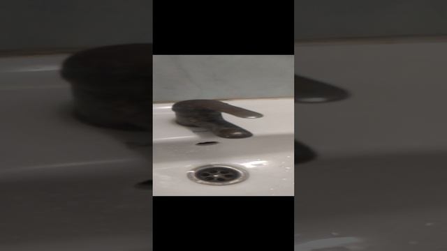 База отдыха Курочкино!