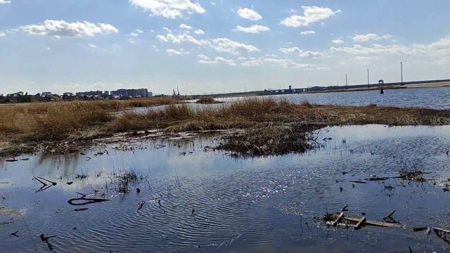 Прогулка по набережной Мечеть Тауба и не только