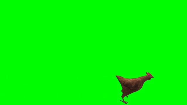 Skyrim Green Screen: Chicken Run!