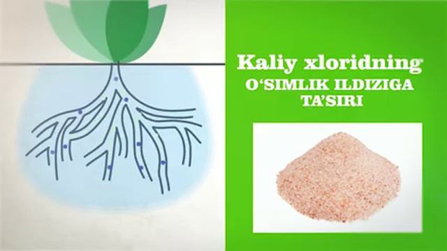 Дехконободский завод калийных удобрений