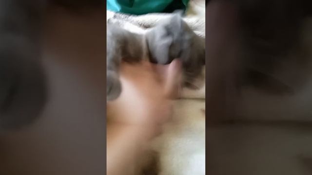 4ebc9e14d6c5e333387465550d2568f9