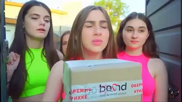 Арктические приключения