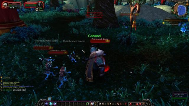 WoW Quest #209 Small, But Significant