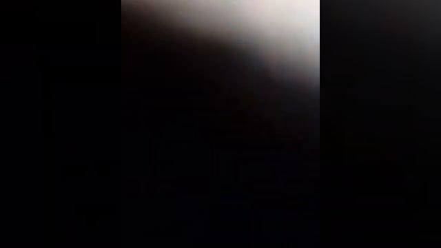 Обезьяна ворует телефон