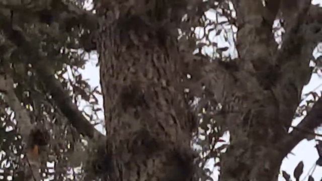 D62428f73550e7b725d96ce1456ba48d