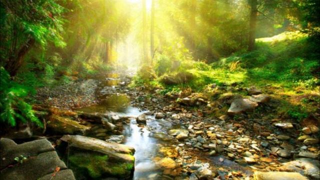 Журчание ручья..wmv